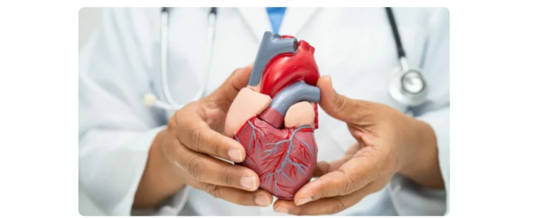 Cardiology