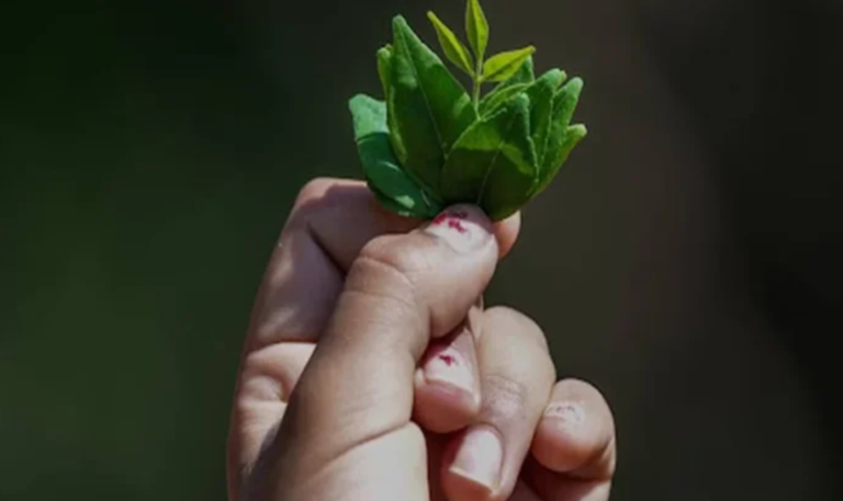 Khat